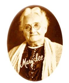 错误的投资课程