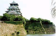 错误的投资课程