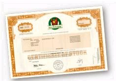 错误的投资课程