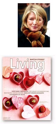 对律师、律师事务所和诉讼的批评