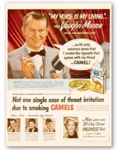 对律师、律师事务所和诉讼的批评