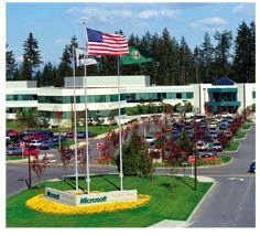 对律师、律师事务所和诉讼的批评