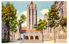 对律师、律师事务所和诉讼的批评