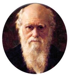 查尔斯·达尔文