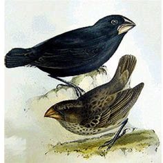 第二讲论基本的、普世的智慧，及其与投资管理和商业的关系