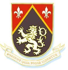 第五讲专业人士需要更多的跨学科技能