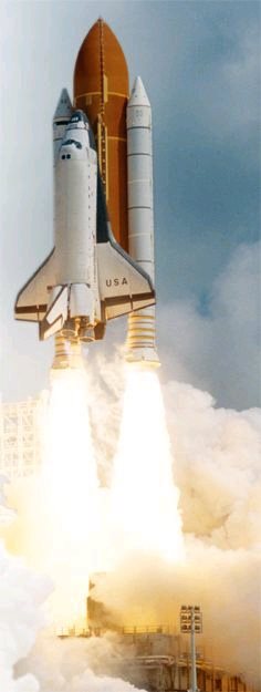 第五讲专业人士需要更多的跨学科技能