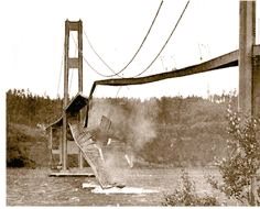 第八讲年的金融大丑闻