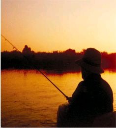 歌颂长者：芒格论晚年受西塞罗《论老年》启发