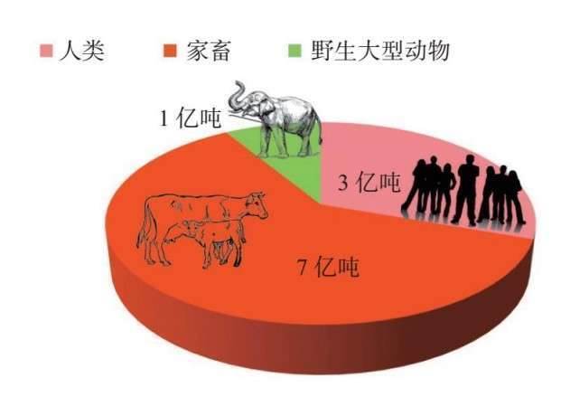 图11 全球大型动物数量饼图