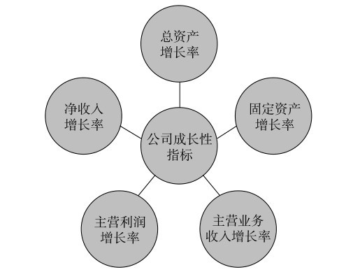 图6-2-4 公司成长性指标