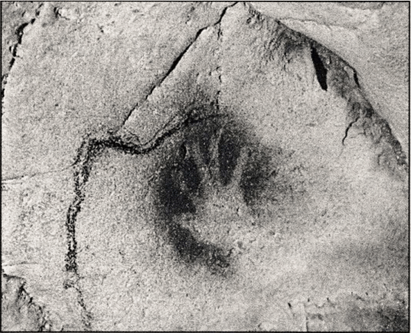 图1 南法的雪维洞穴（Chauvet-Pont-d'Arc Cave）大约3万年前至两万年前的人类手印。这些艺术作品的创作者，无论从外观、思维还是感觉来看，都与我们很相像。