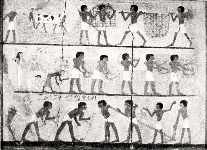 图9 大约3500年前的埃及墓穴壁画，描绘典型的农业景象。
