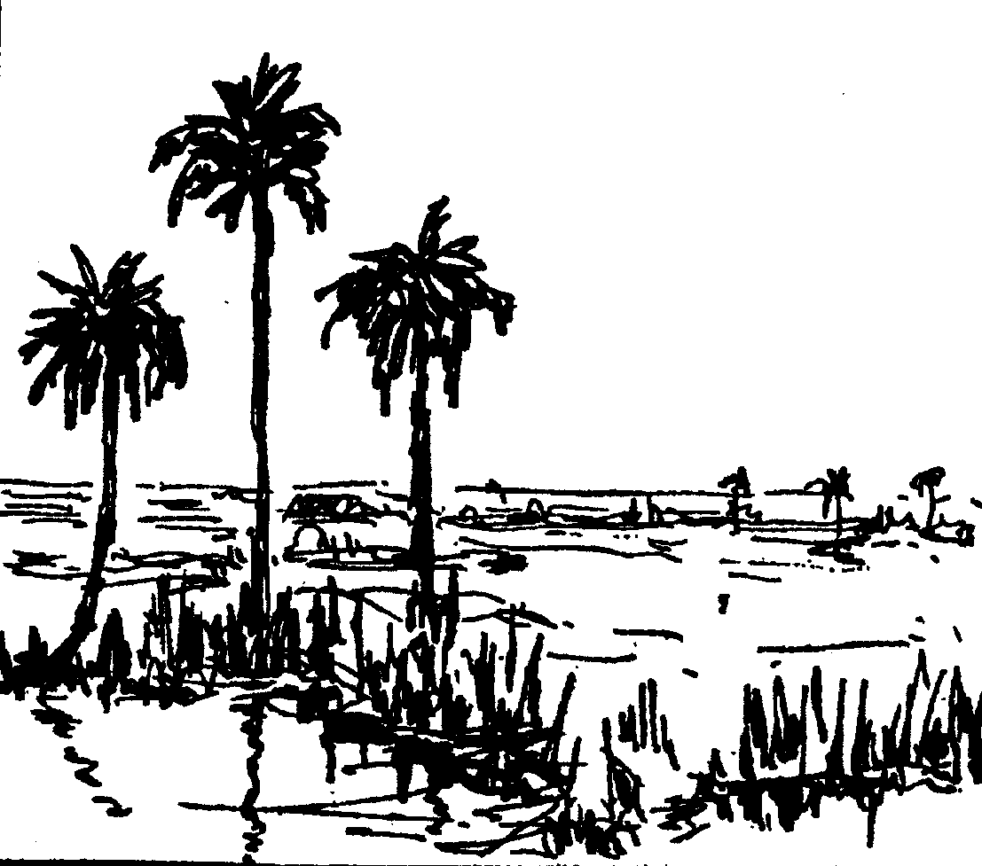 非洲沼泽