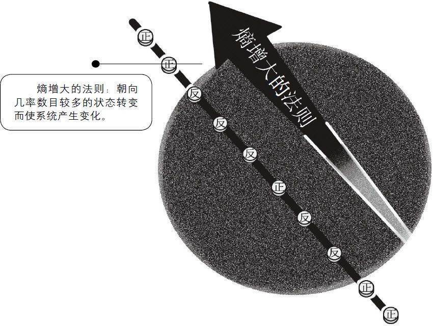 5 硬币实验的发现