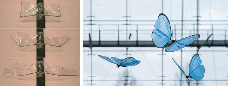 图2-58 变形翅膀飞行机器人（左）和机器蝴蝶“Motion”（右）