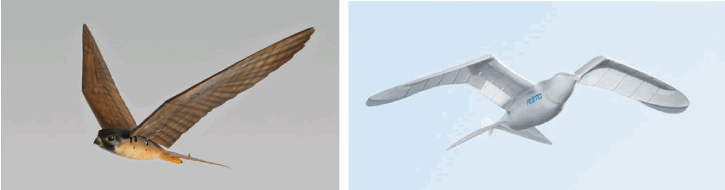 图2-57 仿生机器鸟“Robirds”（左）和“SmartBird”（右）