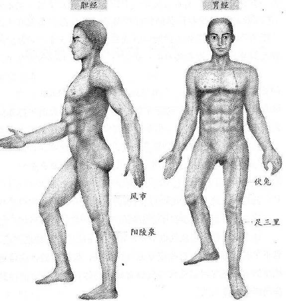 第一章 停止创造新的疾病