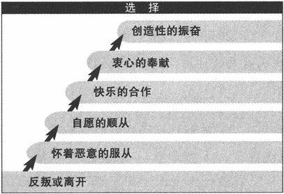 选择