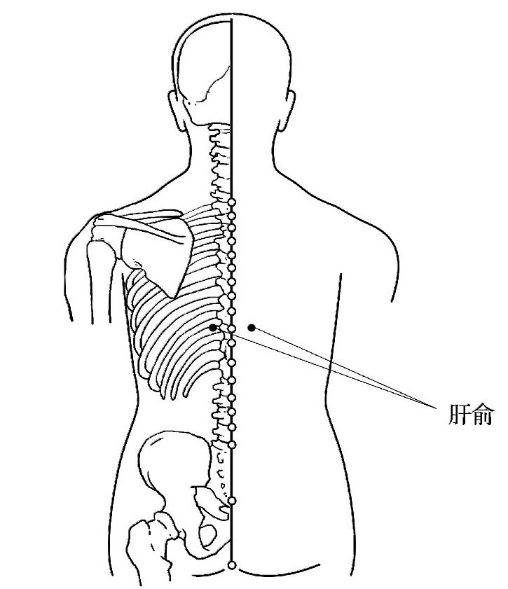 怕吃安眠药过量？——不会过量的镇静安神药