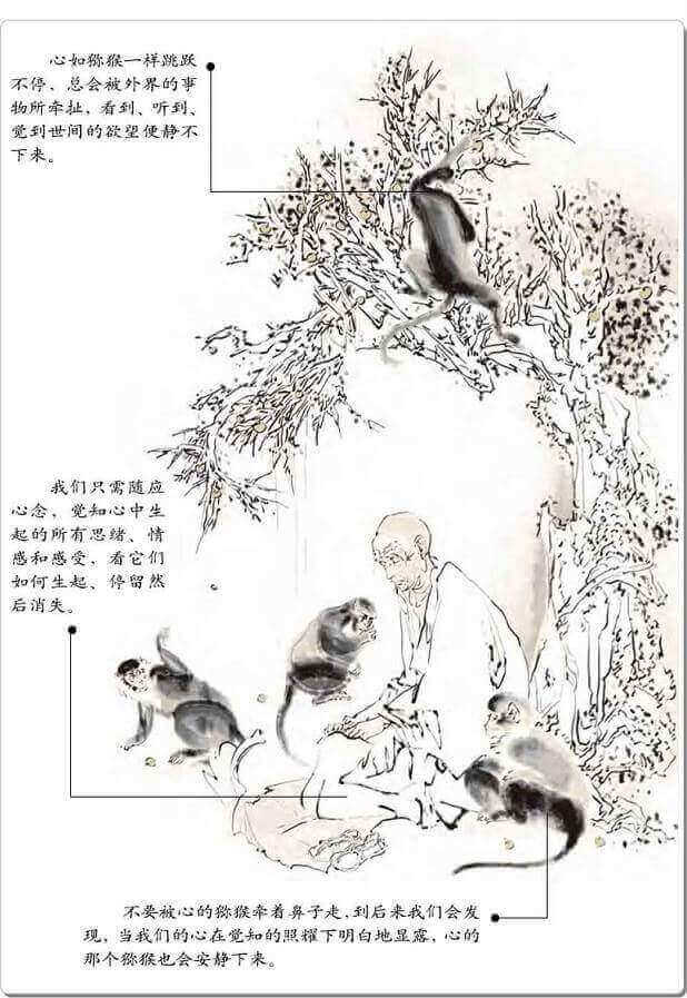 心如一条河：认识我们的心