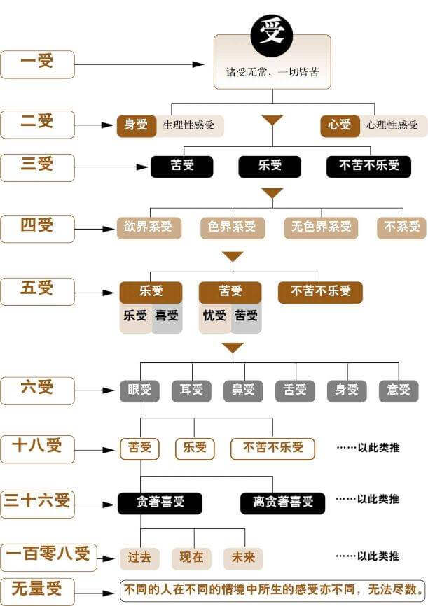 三受、六受及其他：受的分类