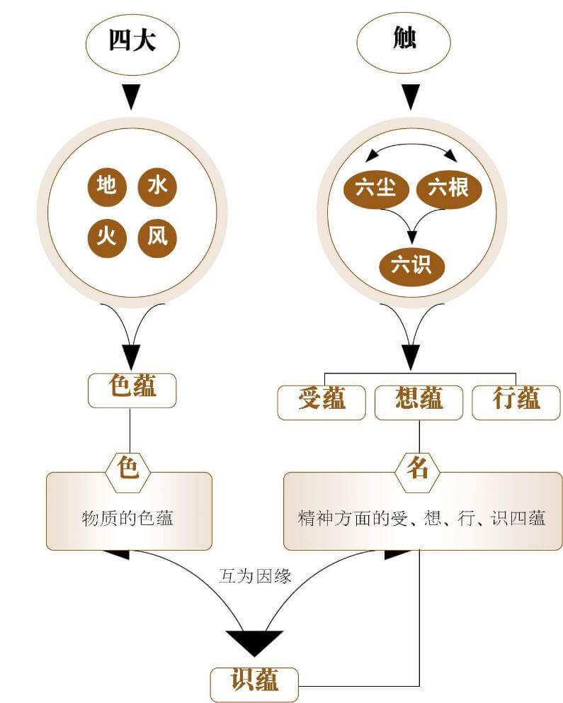 舍弃贪取和执著：观五取蕴