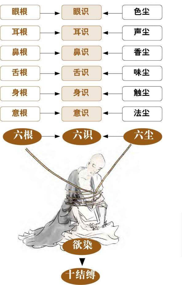 六根与六尘：观十二处