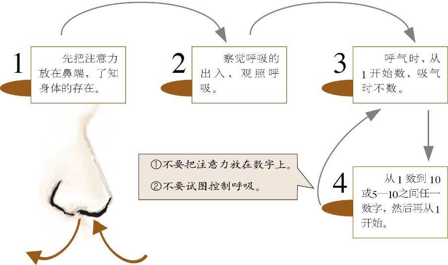 呼吸的练习方法（1）：数息