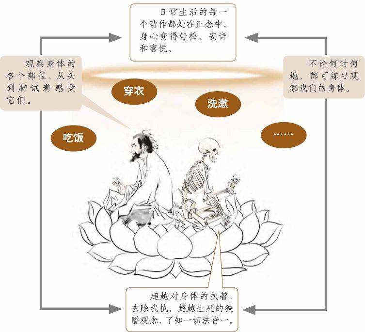 日常生活的运用：了知自己的身体