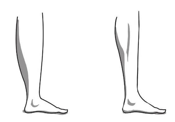 六、匀称而性感的小腿——比腰围更显瘦的利器