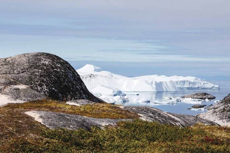 随着气候变暖，隐藏在冰川和冻土层之下大量古病毒可能随时会“复苏”