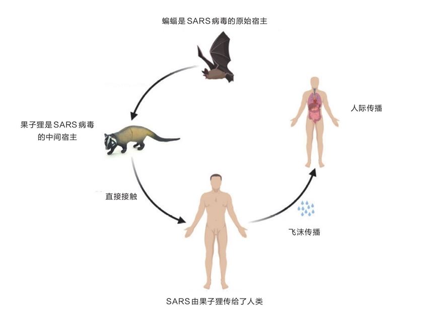 SARS的传播途径