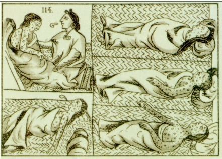 北美的殖民者则有意将天花传给印第安人——给他们送去天花患者用过的毯子。在天花的肆虐下，几个原先有数百万人口的主要印第安部落减少到只剩数千人或完全灭绝。