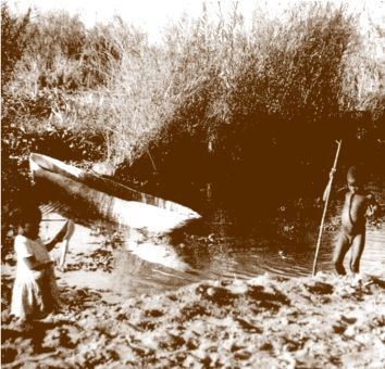 大流感一旦肆虐，世界上最偏远的角落都难以幸免。阿拉斯加的苏厄德半岛的冻土高原是一个远离人群仅有80多个居民的小村，被两个外地游客带来的病毒袭击，仅有两三个人活了下来。在那里，病死者的尸体在永久冻土层里保存完好，当今的科学家正从这些尸体里寻找病毒样本，力求不让1918年的悲剧重新上演。