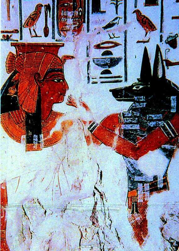 古埃及人向胡狼和丹嘴鹭求助