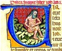 古代细密画中描绘的天花患者，除了在抑郁的心境中等待死神的降临之外，惟一的心理安慰来自神职人员的祈祷。天花在历史长河中留下了巨大的情感疤痕，像死神的脚印难以抹去。