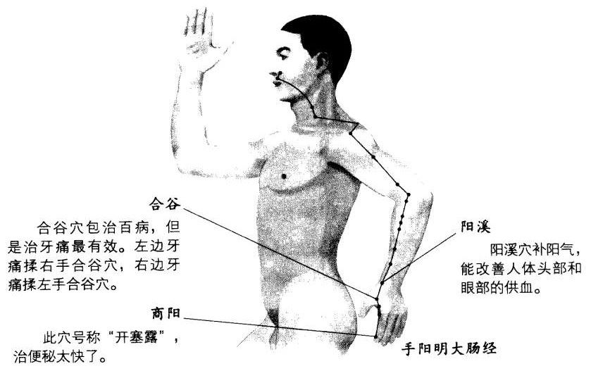 大肠经的每个穴位都有自己的杀手铜，手到病除，药到心安。