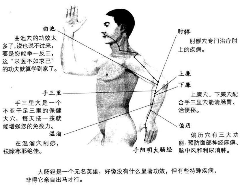 大肠经是一个无名英雄，好像没有什么显著功效，但有些特殊疾病，非得它亲自出马才行。