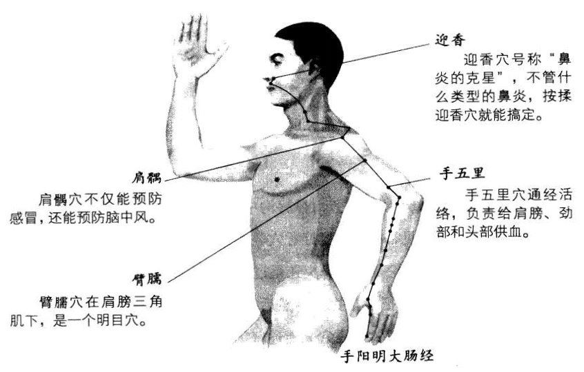 大肠经里面最多的就是’ ‘隐士高人”，我只是简单地介绍了几位，具体要请哪位回家，就看您身体的选择了。