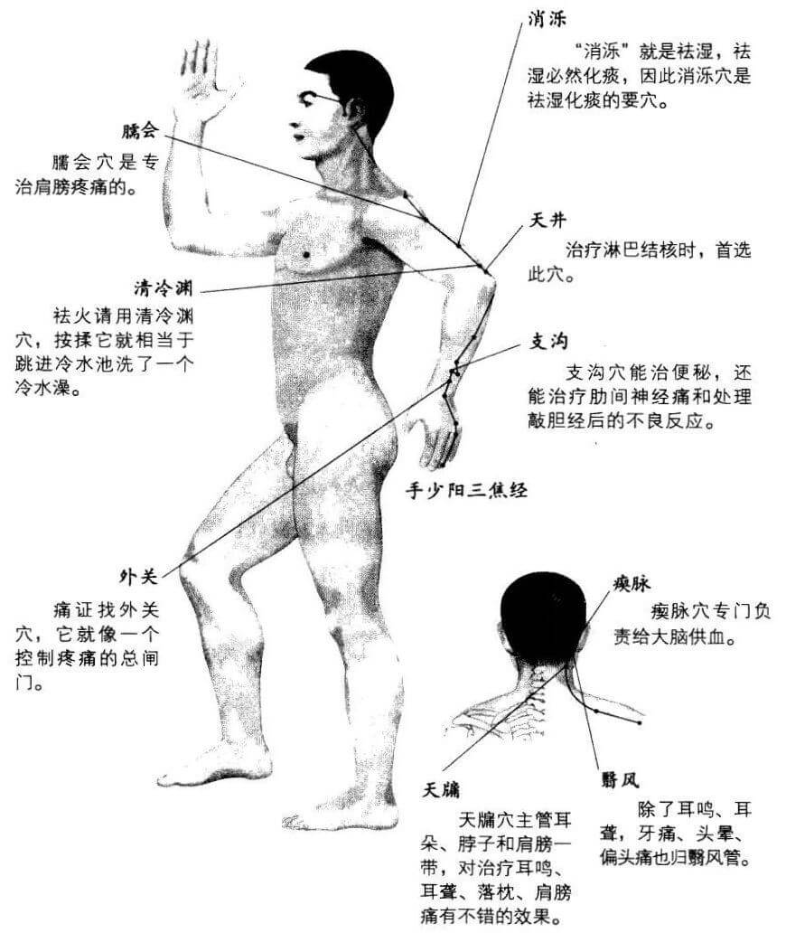 三焦经上的穴位个个都有自己的拿手绝技，经常按揉它们，会让您的健康更上一层楼。