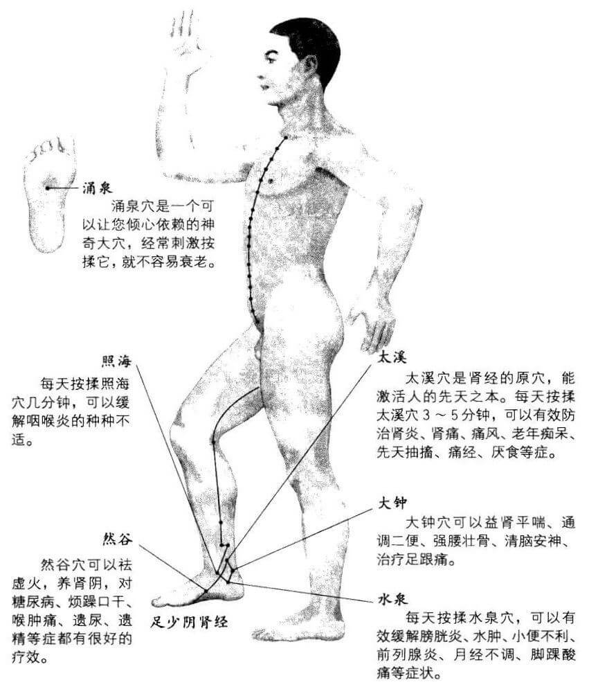 肾经从脚循行到头，在脚上共有6个穴位。时时按揉，对其呵护有加，便能培补我们的先天之本。
