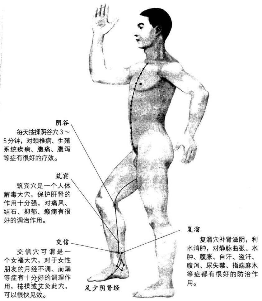 肾经在小腿上只有4个穴位，分别是复溜穴、交信穴、筑宾穴和<a href=