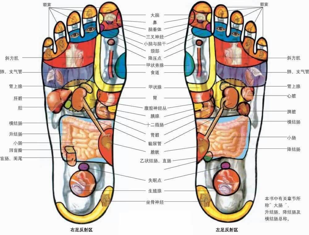 简单有效的医术