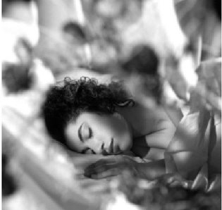 睡眠只是一个简单的暂停吗？实际上，在安静的表面背后，复杂的程序，比如梦，参与巩固着我们的记忆。