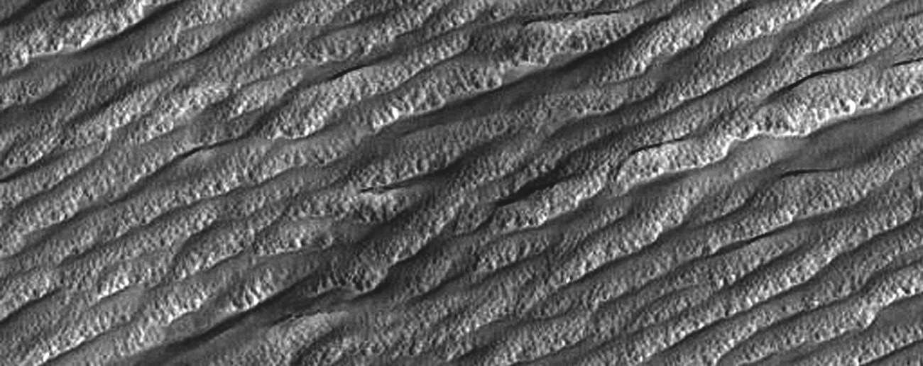  火星乌托邦平原（Utopia Planitia）上的贝状地形