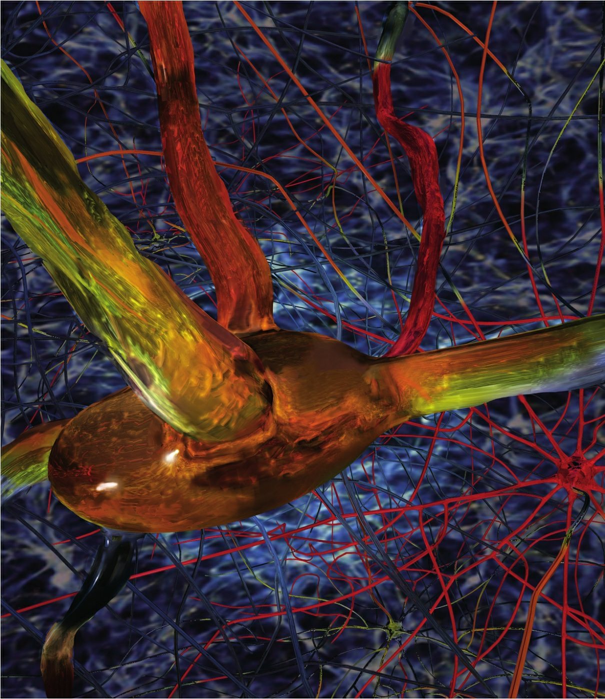神经元细胞体的代表