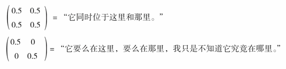 被审查的量子怪诞性