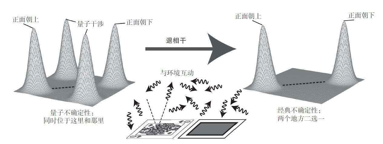 关于倒下的扑克牌,你所知道的信息可以表示为一个所谓的密度矩阵
