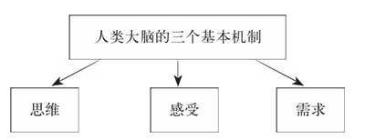 大脑的三个基本机制是复杂相关的